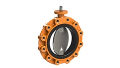 Butterfly Valve